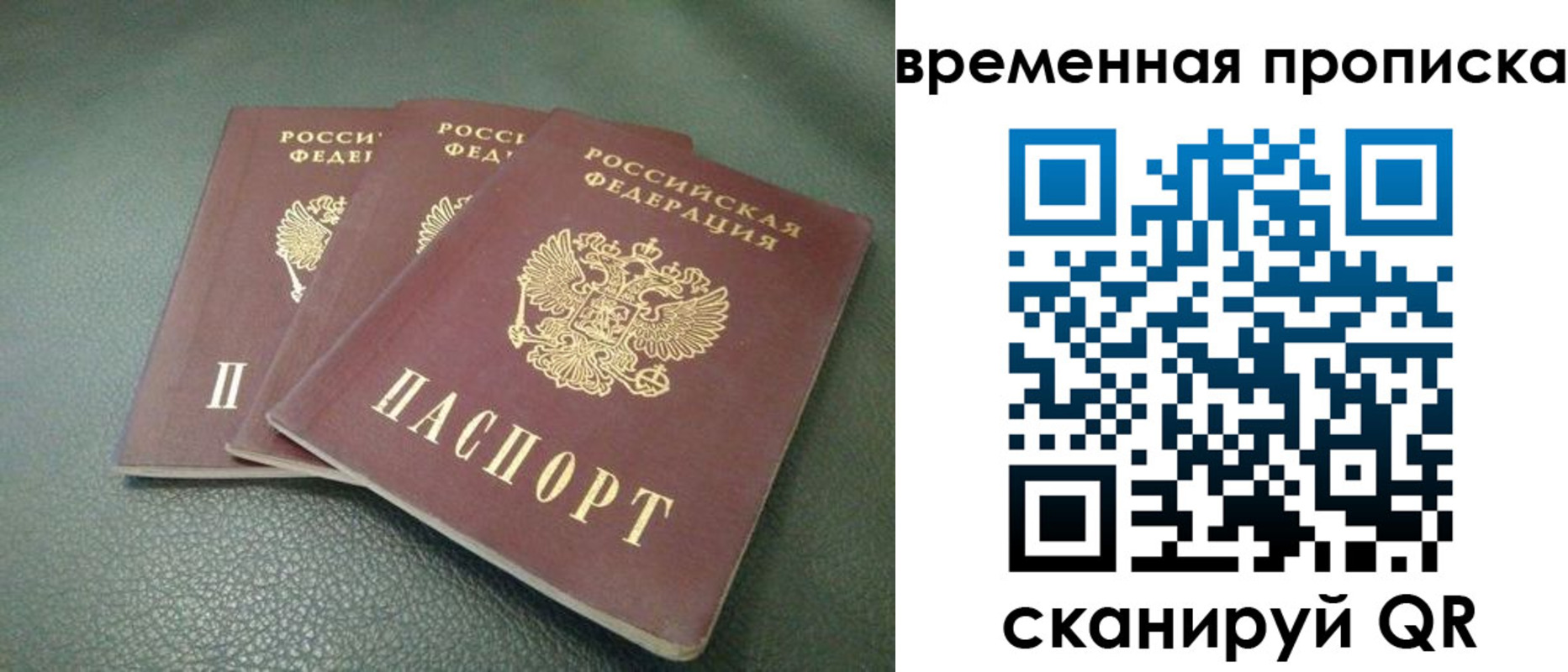 прописка гарантия в Заволжье